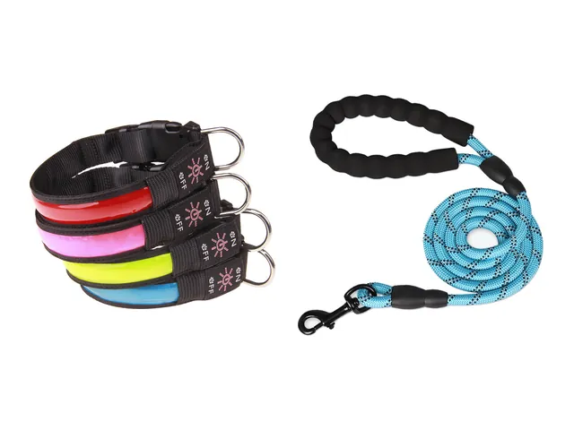 Light-up dog collars in red, pink, yellow and blue beside a blue reflective rope leash with a padded handle